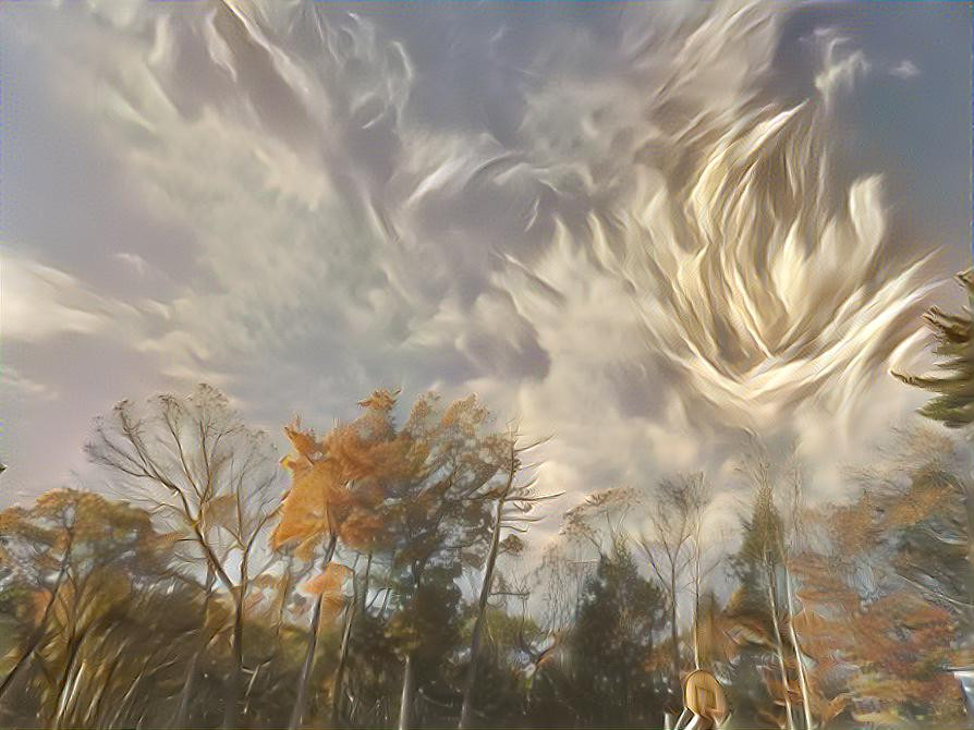 Fall trees and angel wing clouds