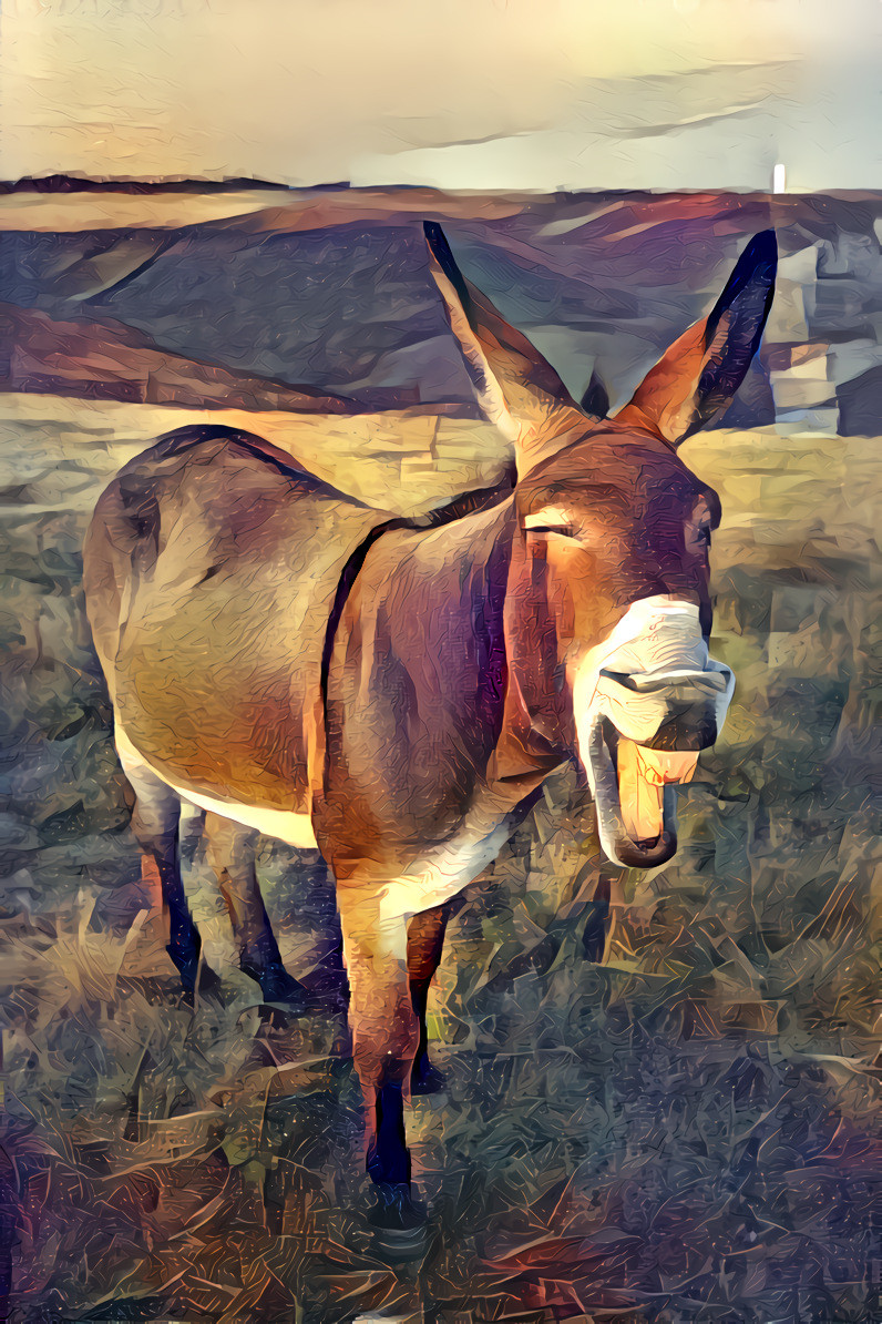 Donkey (who seems to be having a good laugh) on the cliffs of Etretat, France. Original photo by Ansgar Scheffold on Unsplash.