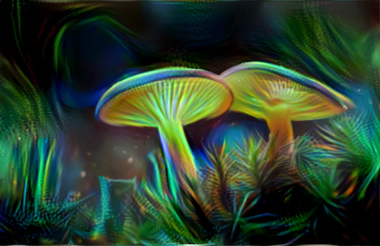 Magic shrooms