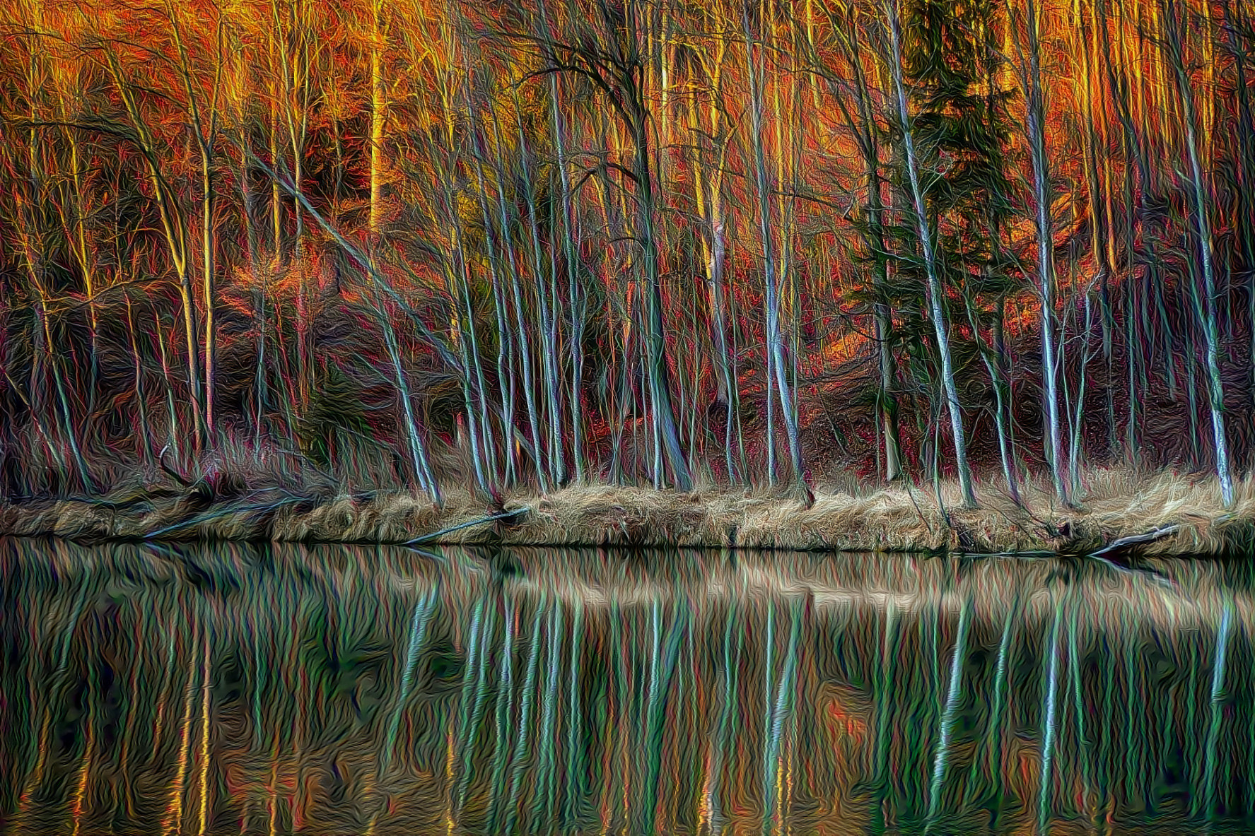 Winter, Forest, River