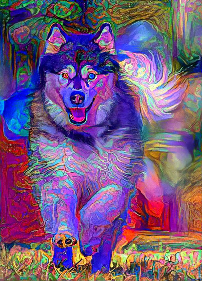 brightMalamute