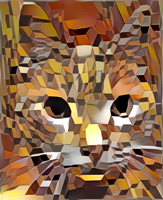 VasarelyCat II