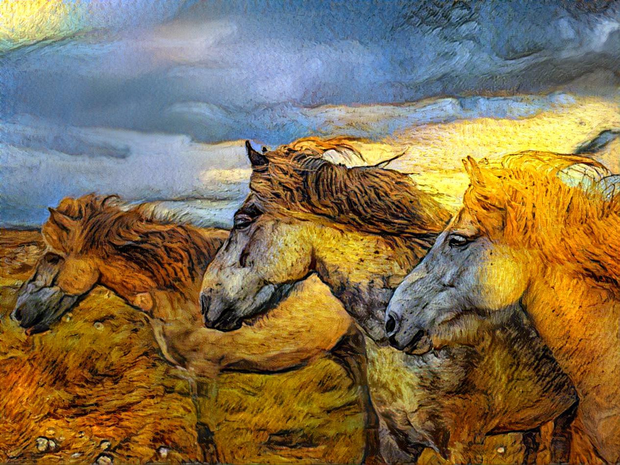 Horses running