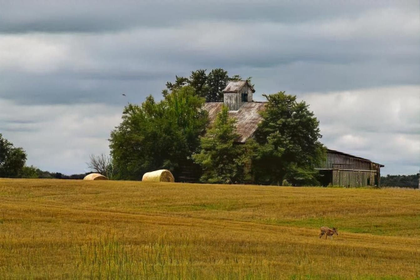 Barn