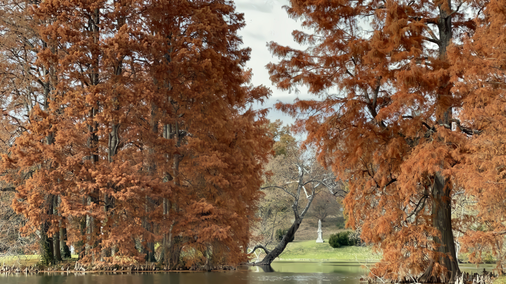 Autumn Bald Cypress Trees