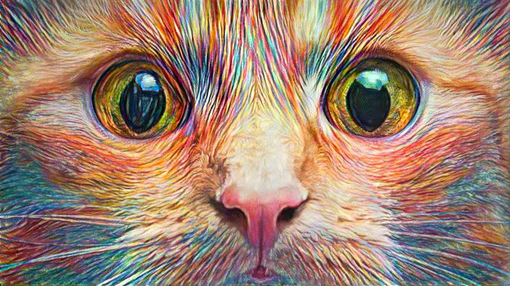 Deep Dream: Startled Cat (Ver.2)