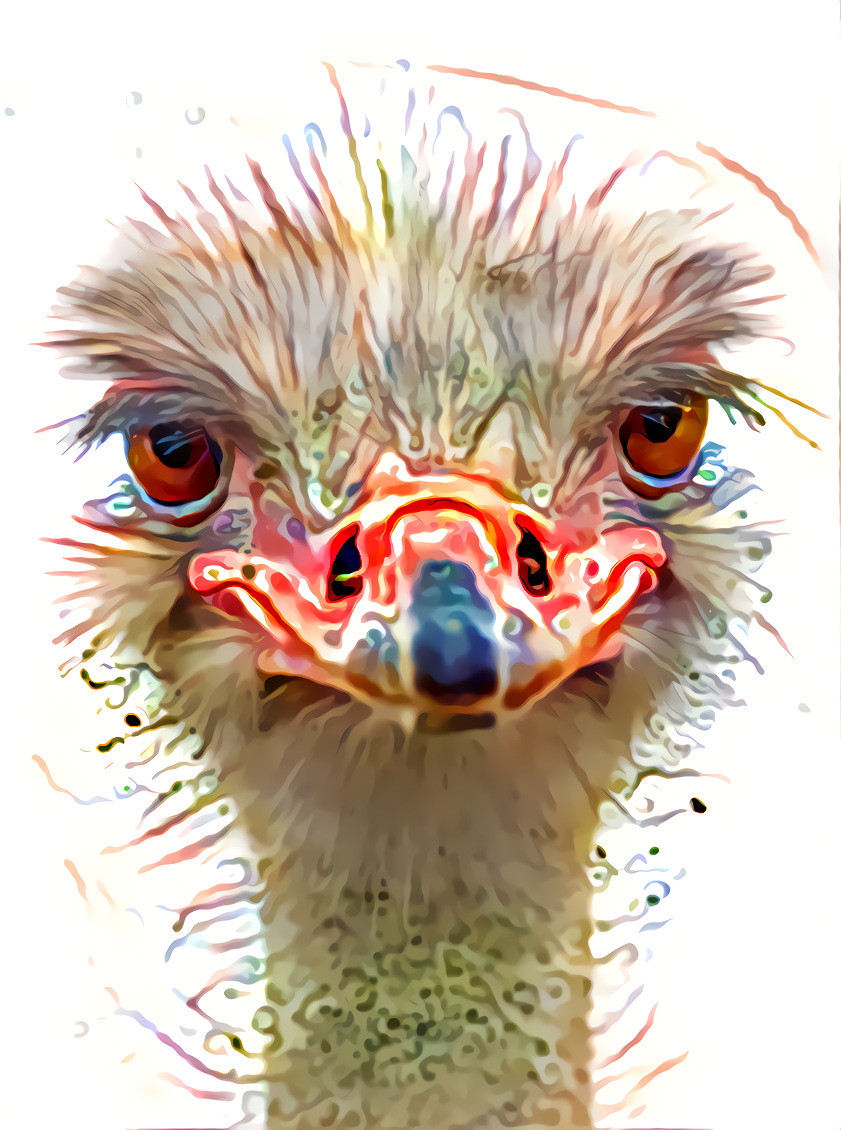 Osterized Ostrich