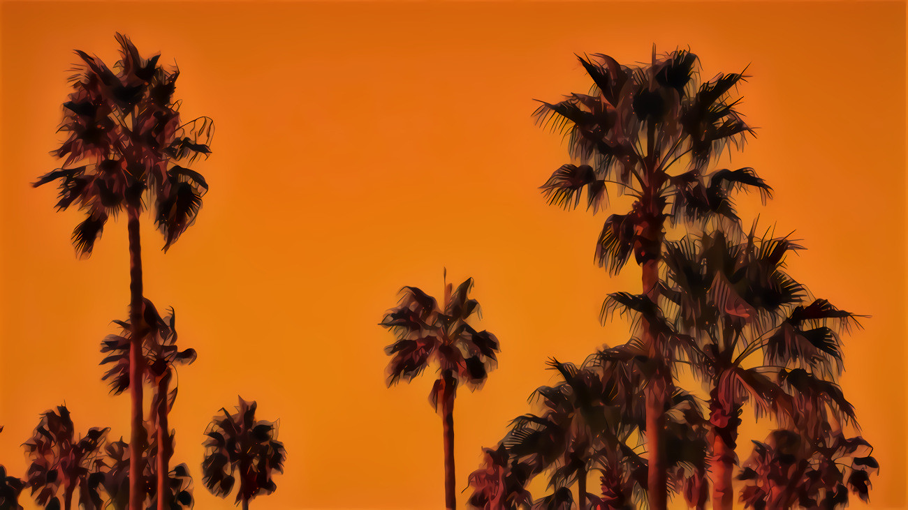 Palm Trees in an Orange Sunset