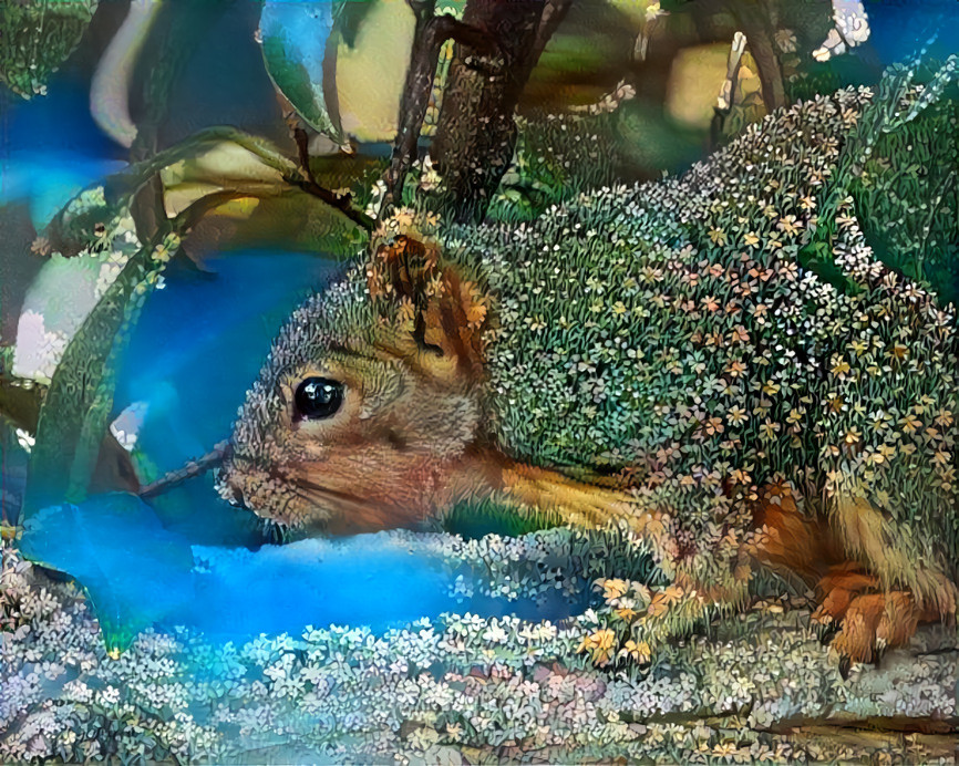 Garden Squirrel