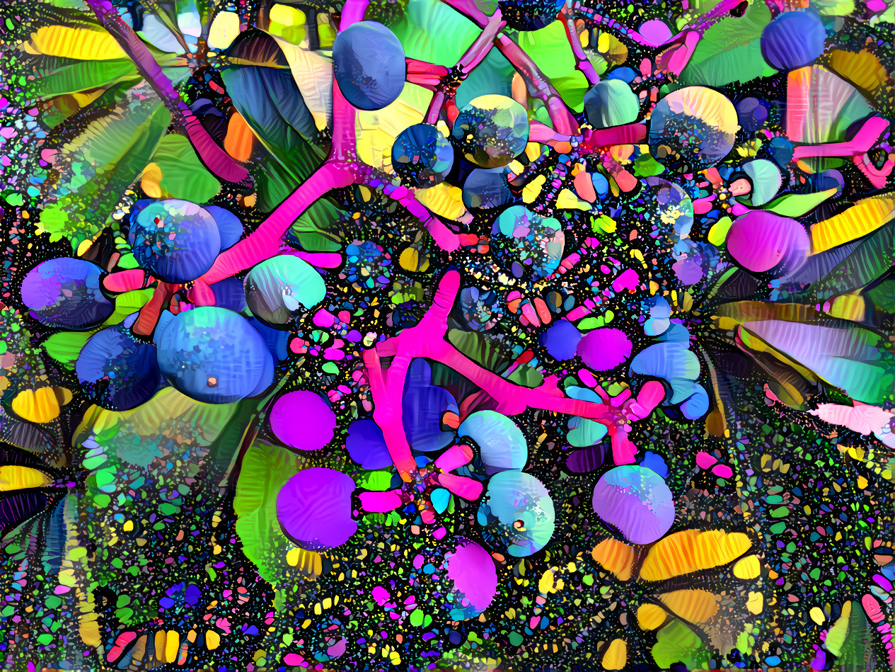 psychedelic berries