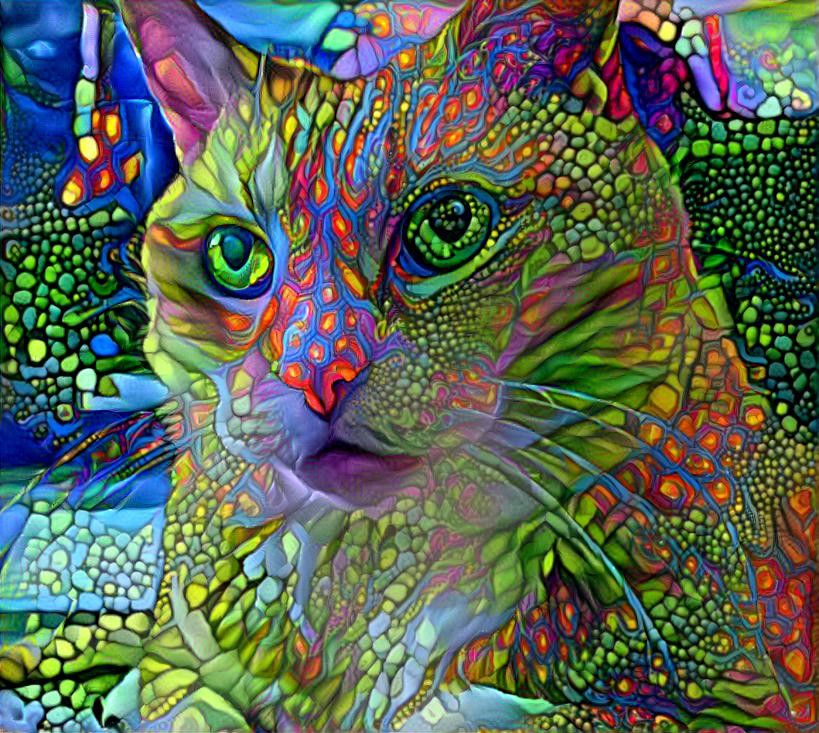 Trippy Cat