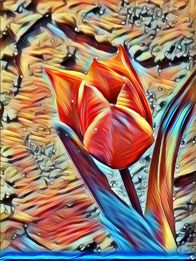 Tulip