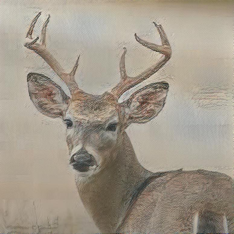 Deer Sketch