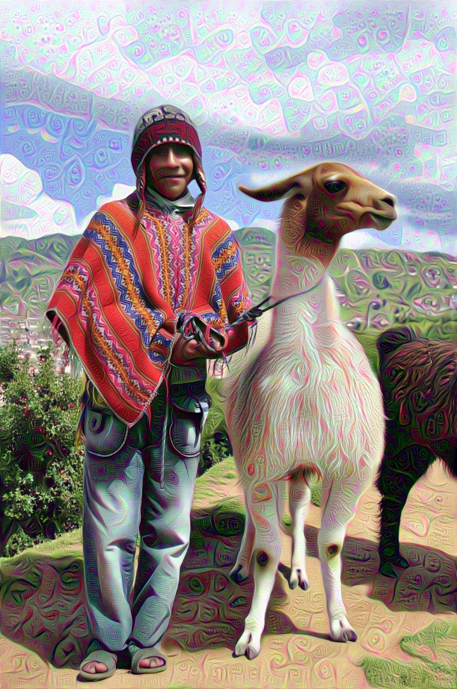 A Llama and His Peruvian