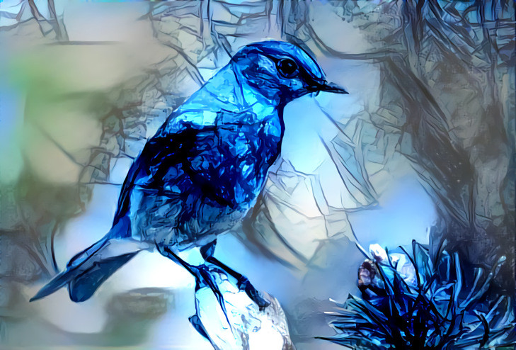 blue bird