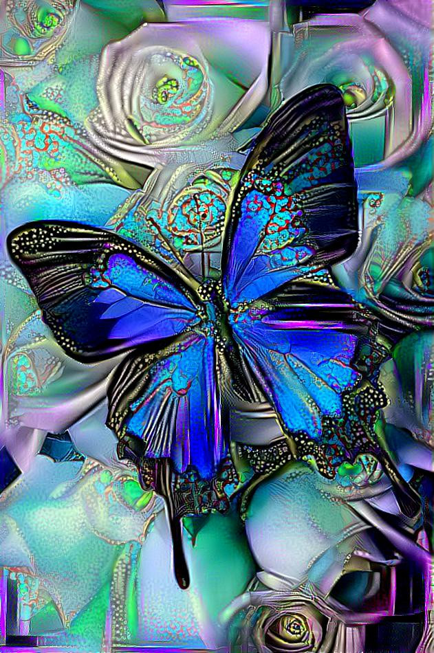 Butterfly 