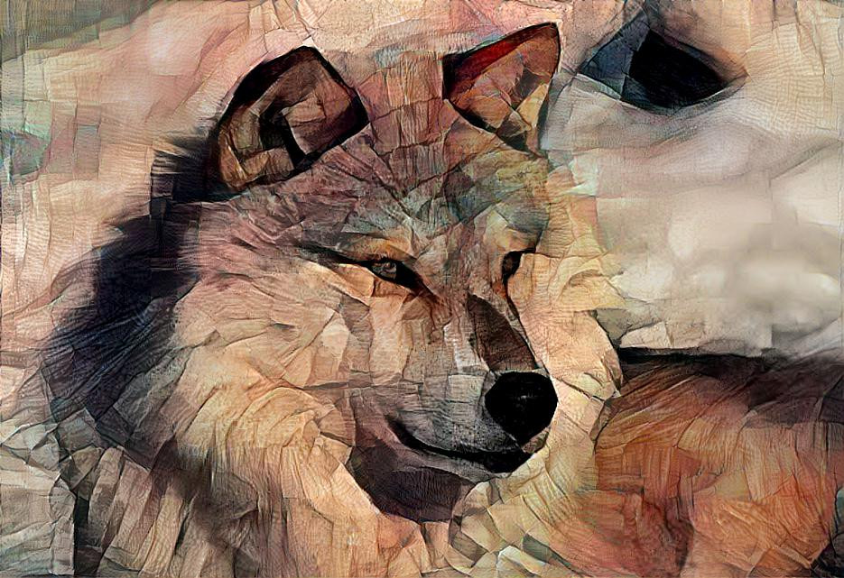 Wolf