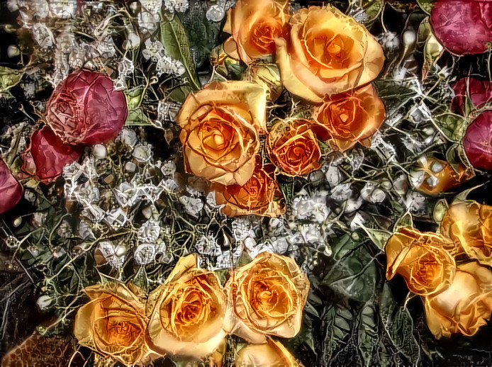 Orange and Pink Roses #1