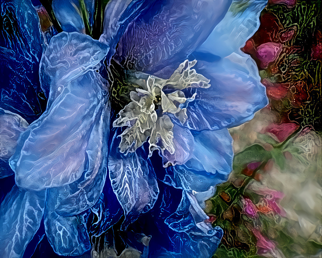 Delphinium