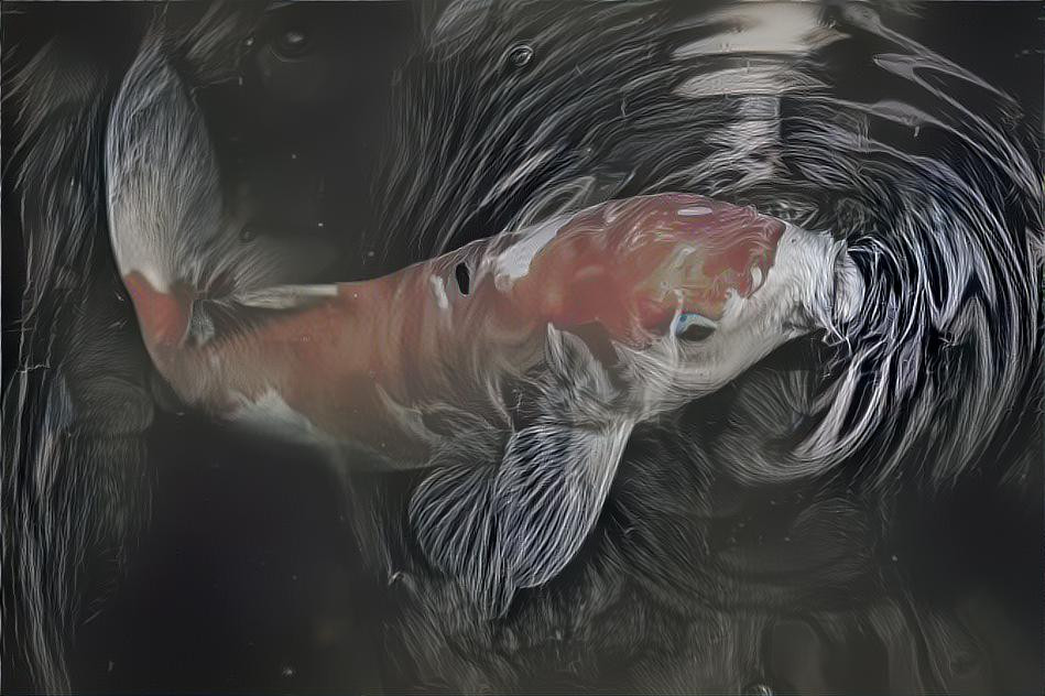 Koi dream