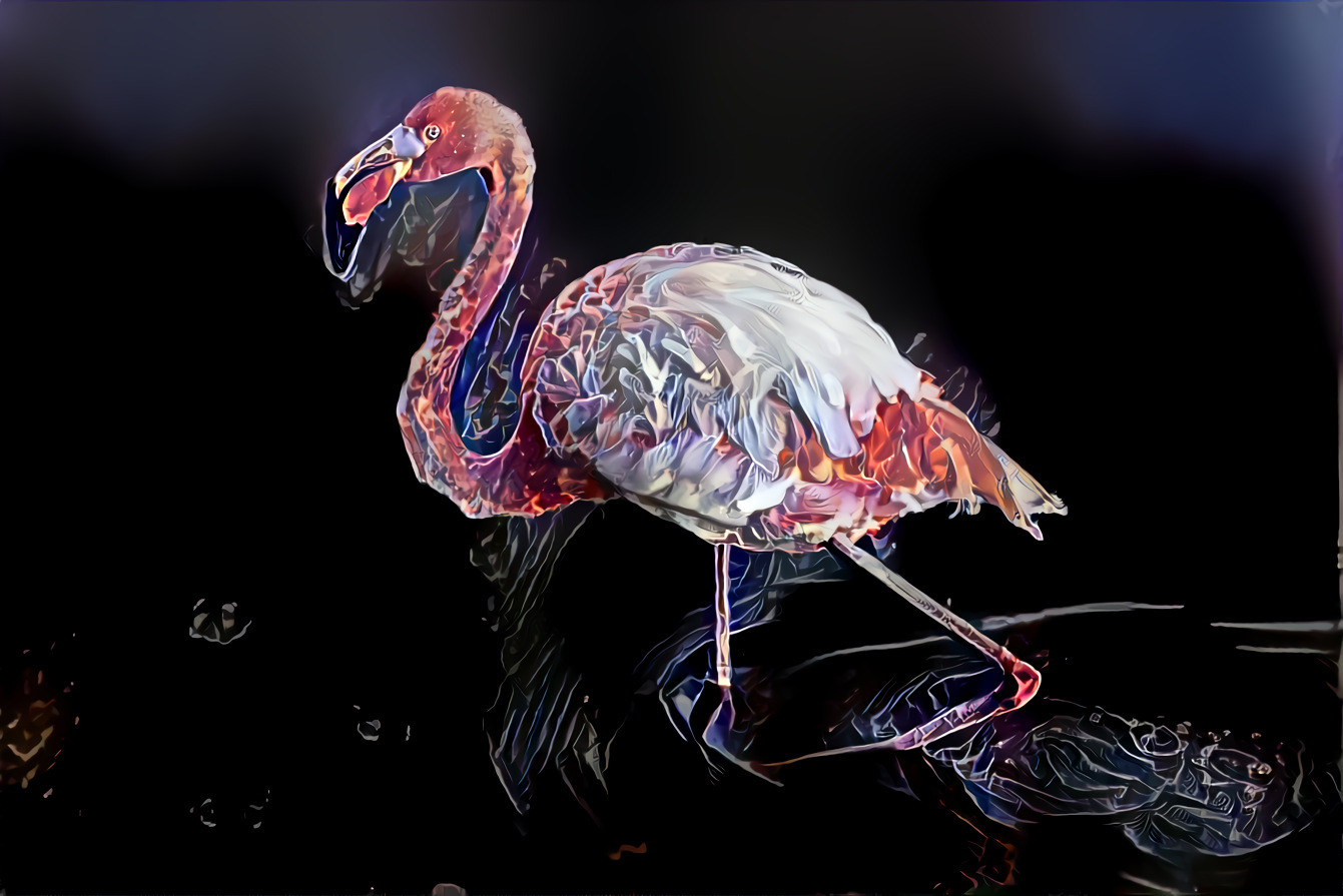 The Flamingo