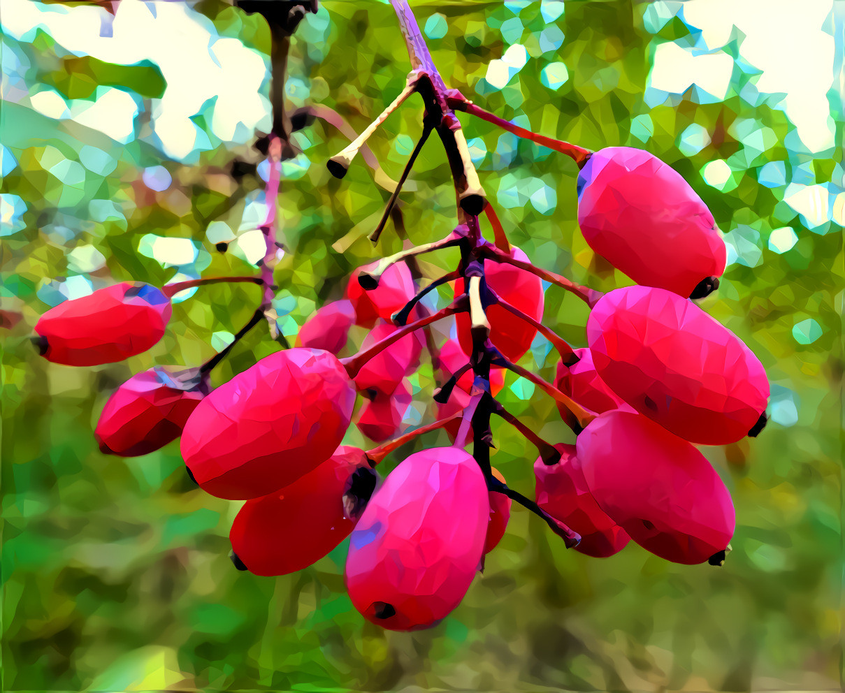 Red berries 2 x red berries 2 low poly_2