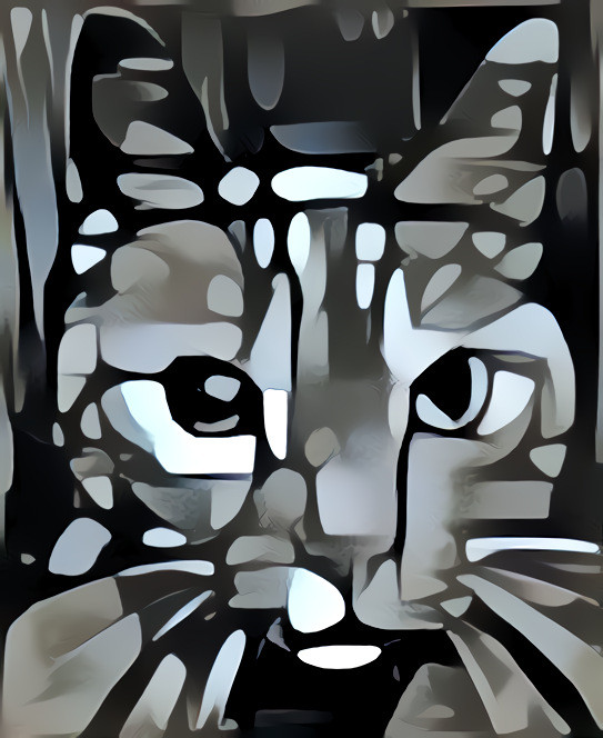 VasarelyCat IV