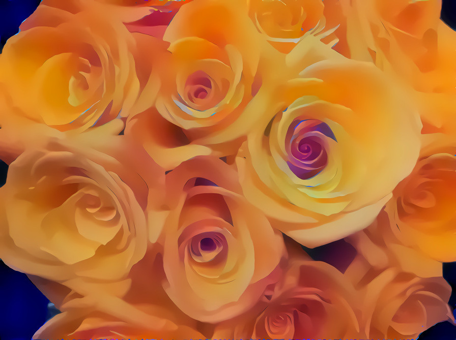 Orange Roses #2