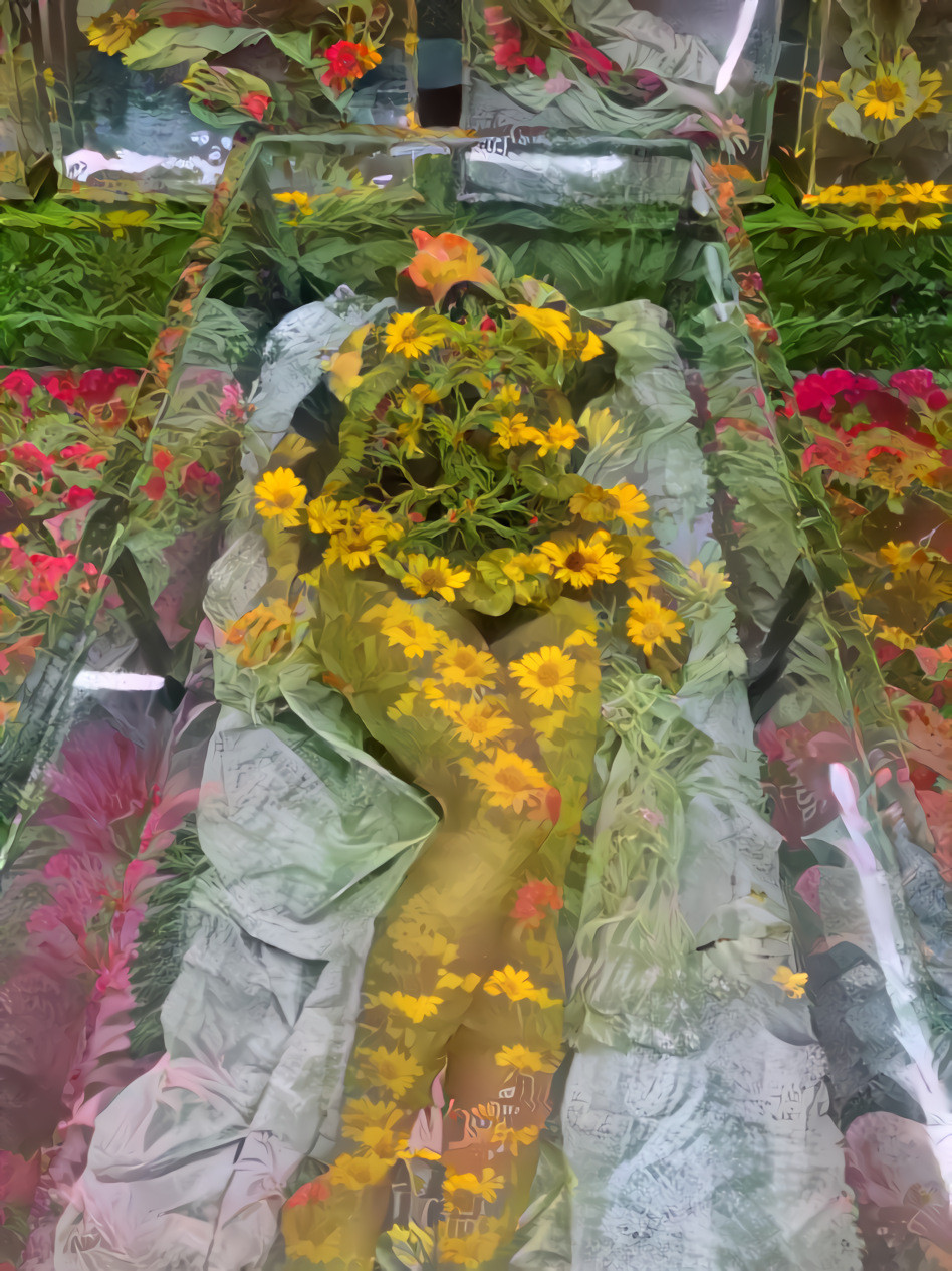 Bed of Flowers