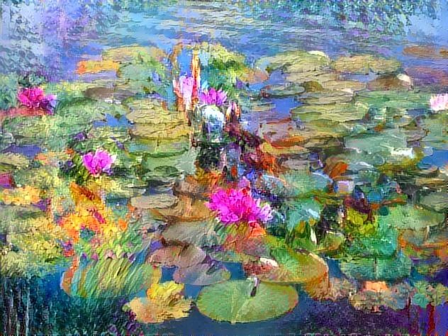 Waterlilies