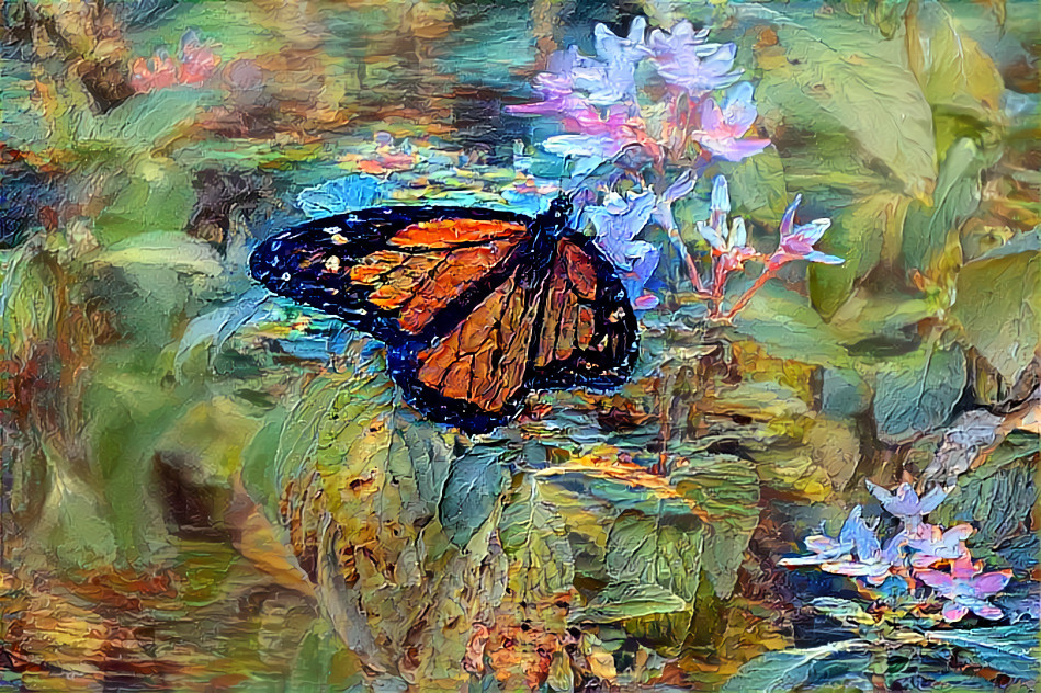 Butterfly Garden