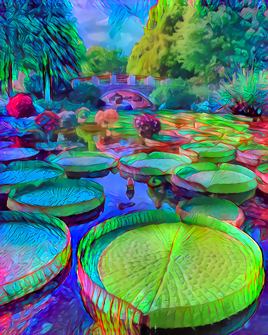 Lily Pads in Japan