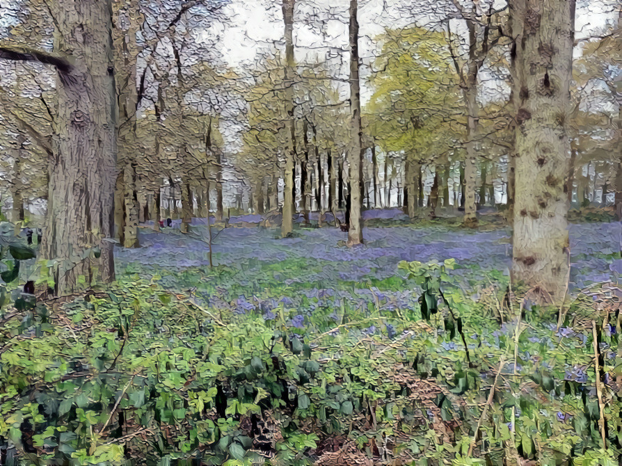 Blueberry Fields