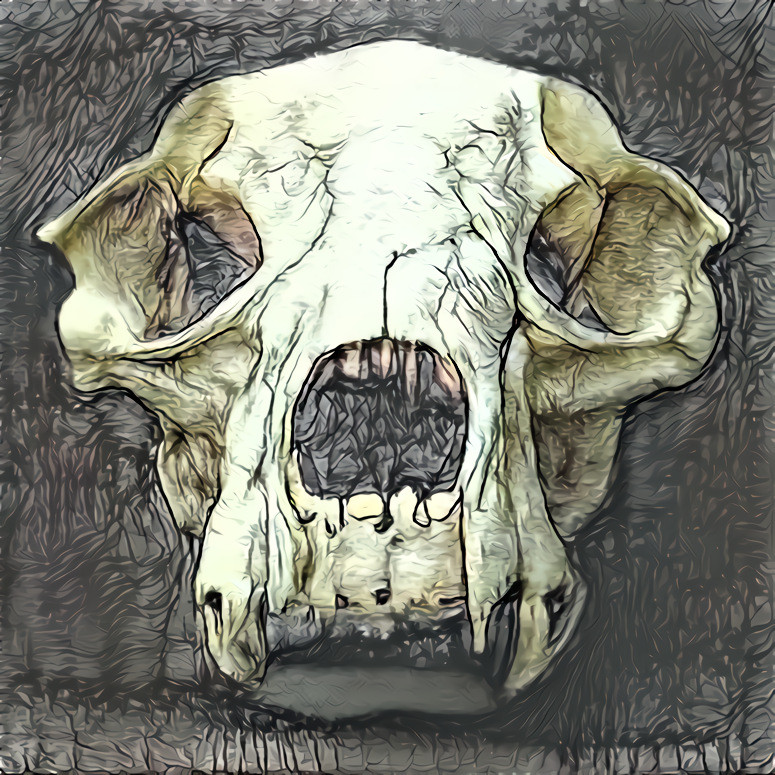 Skull