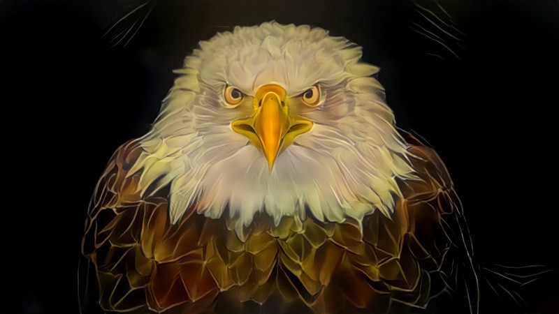 Deep Dream: Bald Eagle (Ver.2)