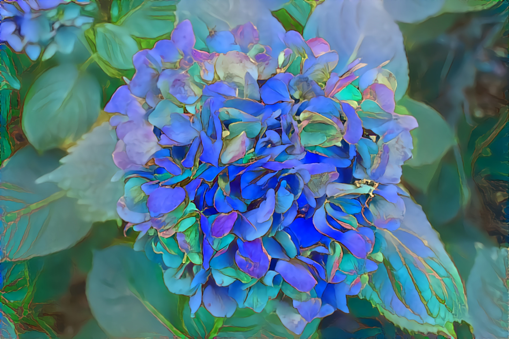 Hydrangea. Source photo, my own.