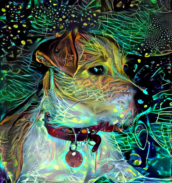 Neon Colour lines Doggo