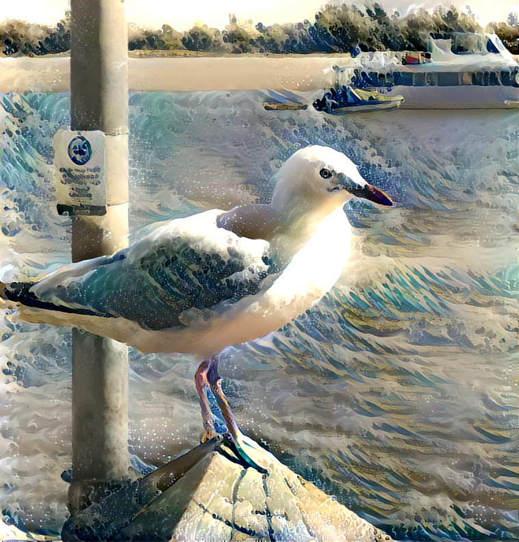 Southport Spit, Gold Coast Queensland