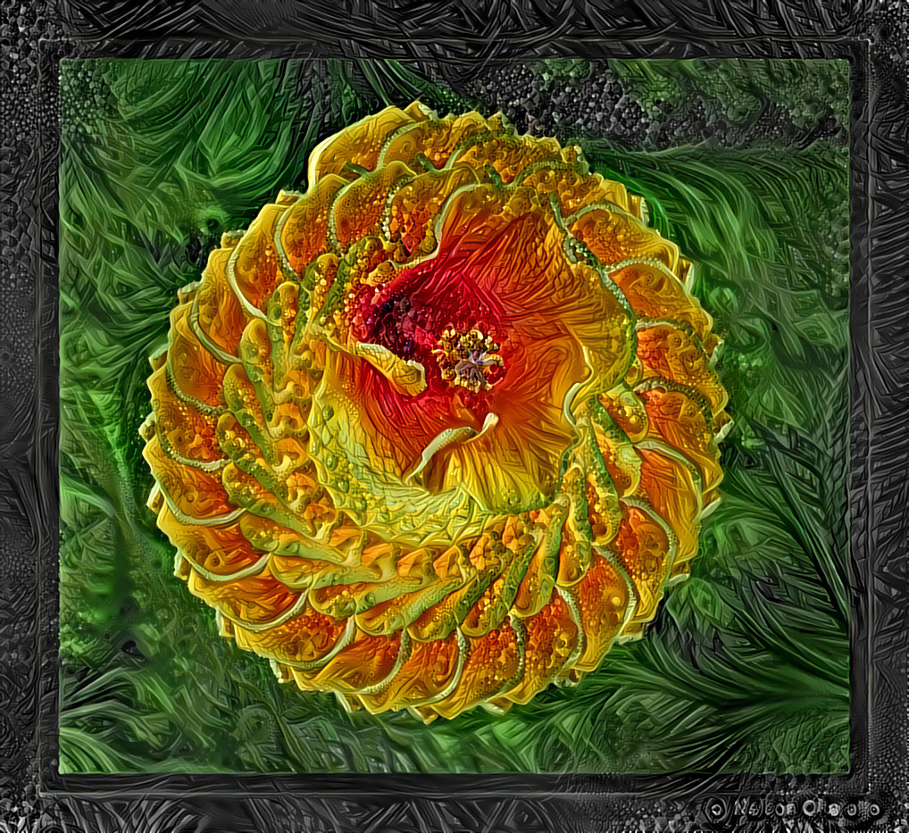 Orange Flower Spin