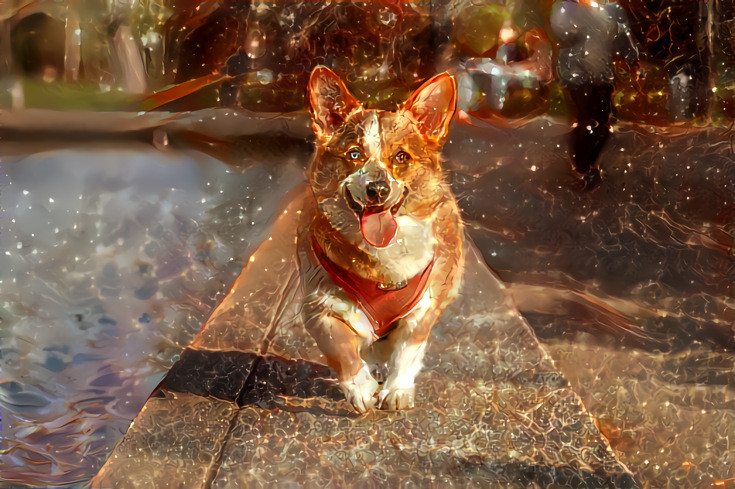 Corgi by the Pool