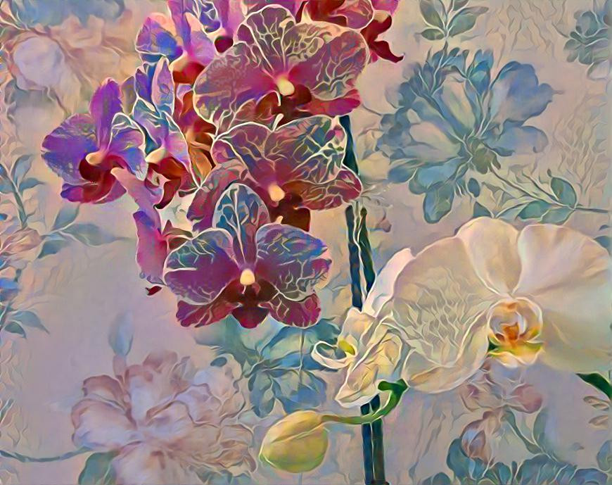 Pink-N-White Orchids & Floral Background