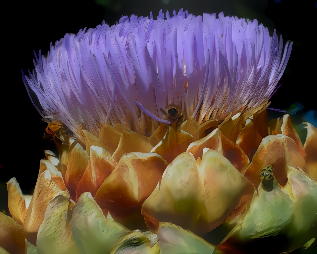 Artichoke Flower, Full of Pollenators. Source is my own photo.