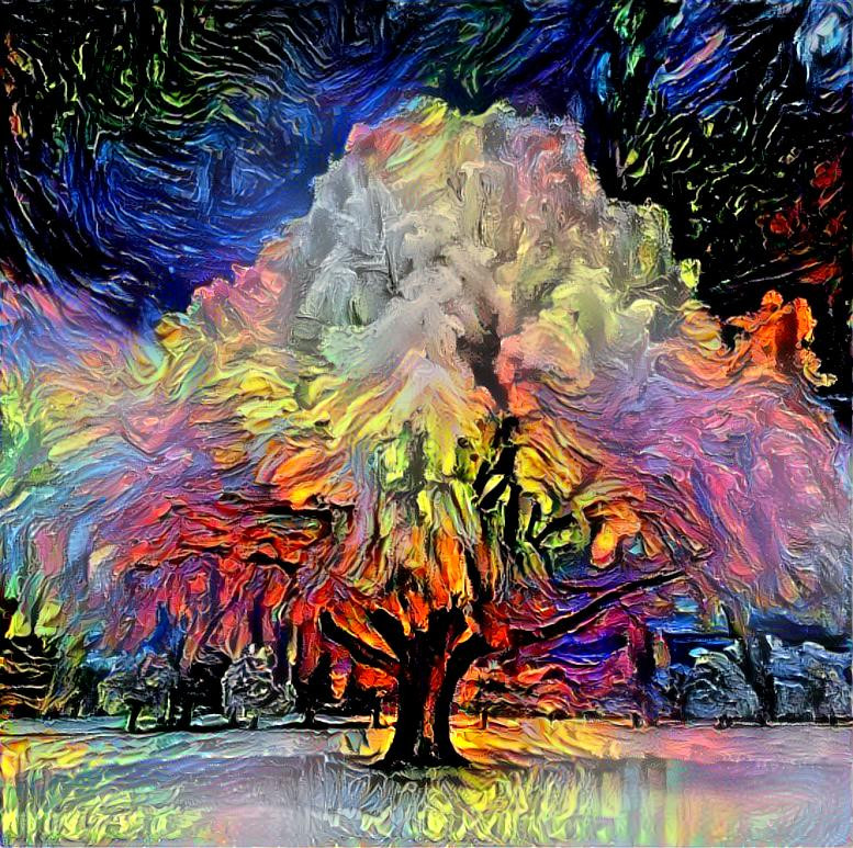 Tree of colour