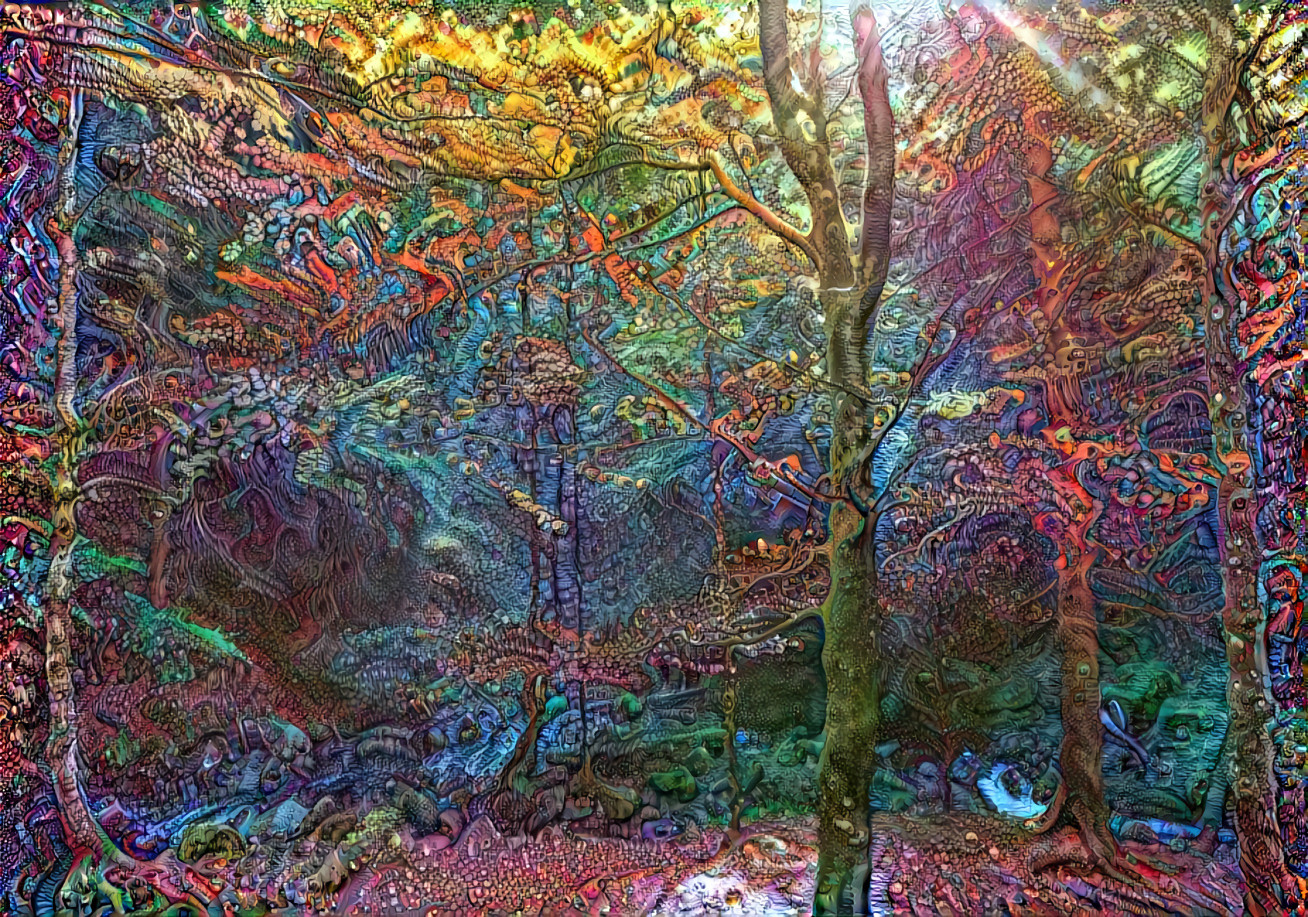 Forest