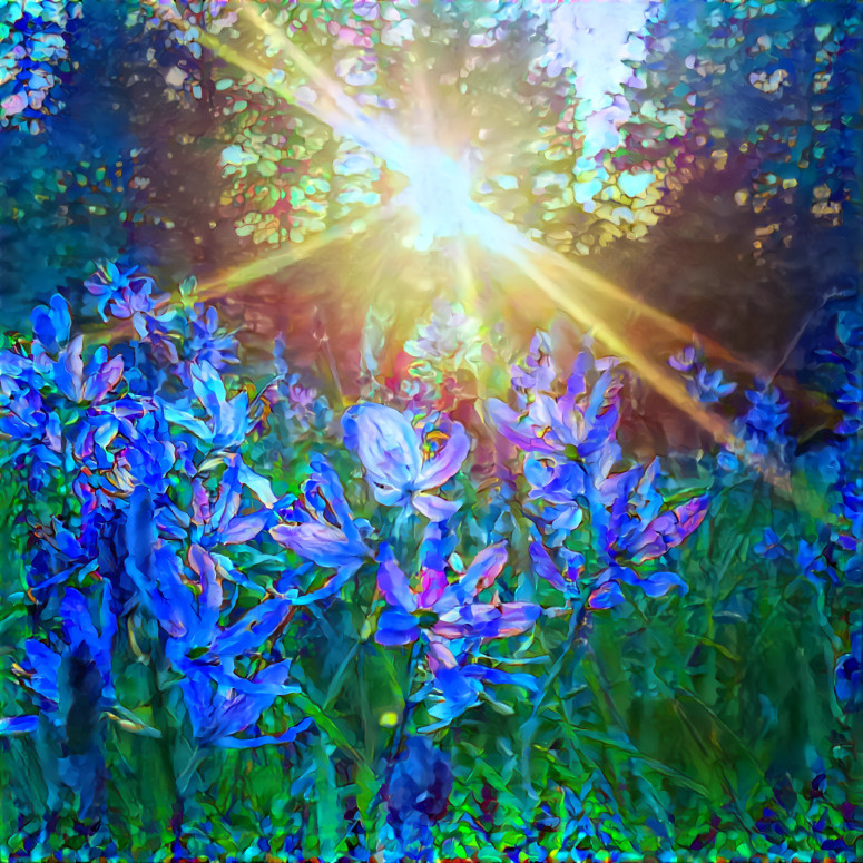 Lacamas Lake Lily Fields