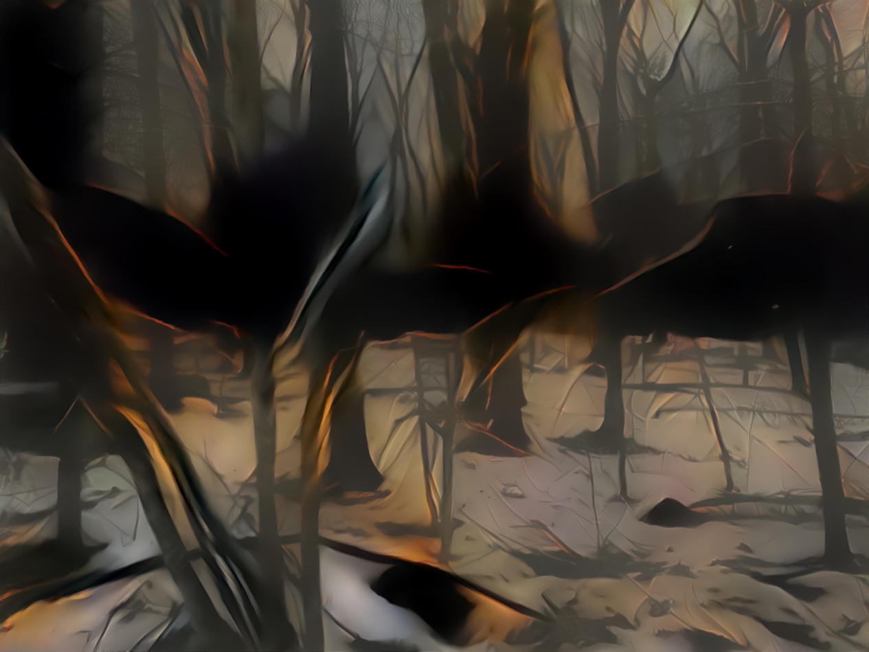 Dark Forest