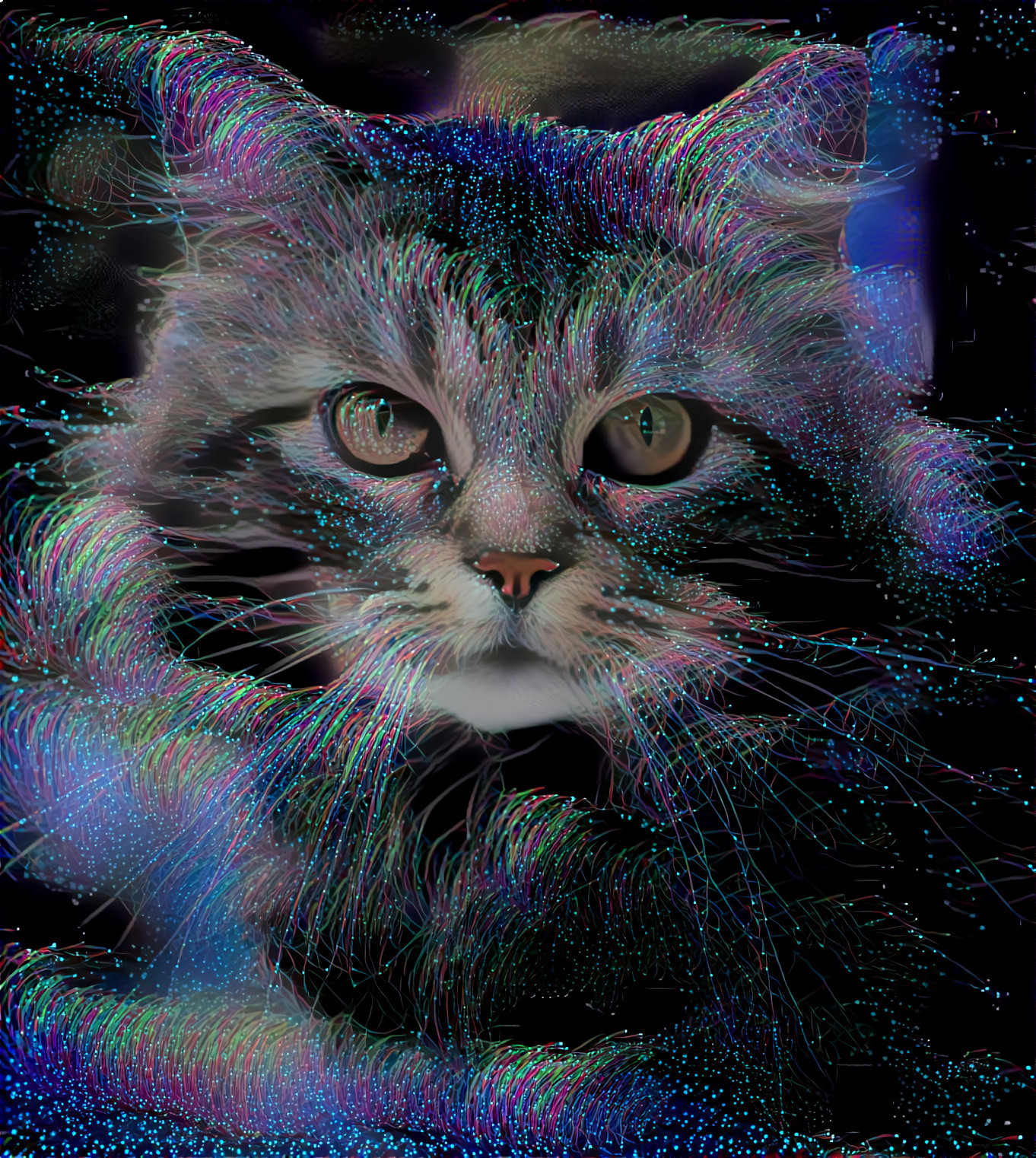 Galaxy Kitty