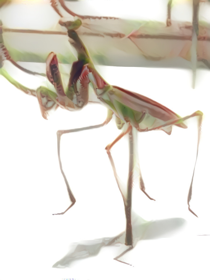 Mantid Draft 2