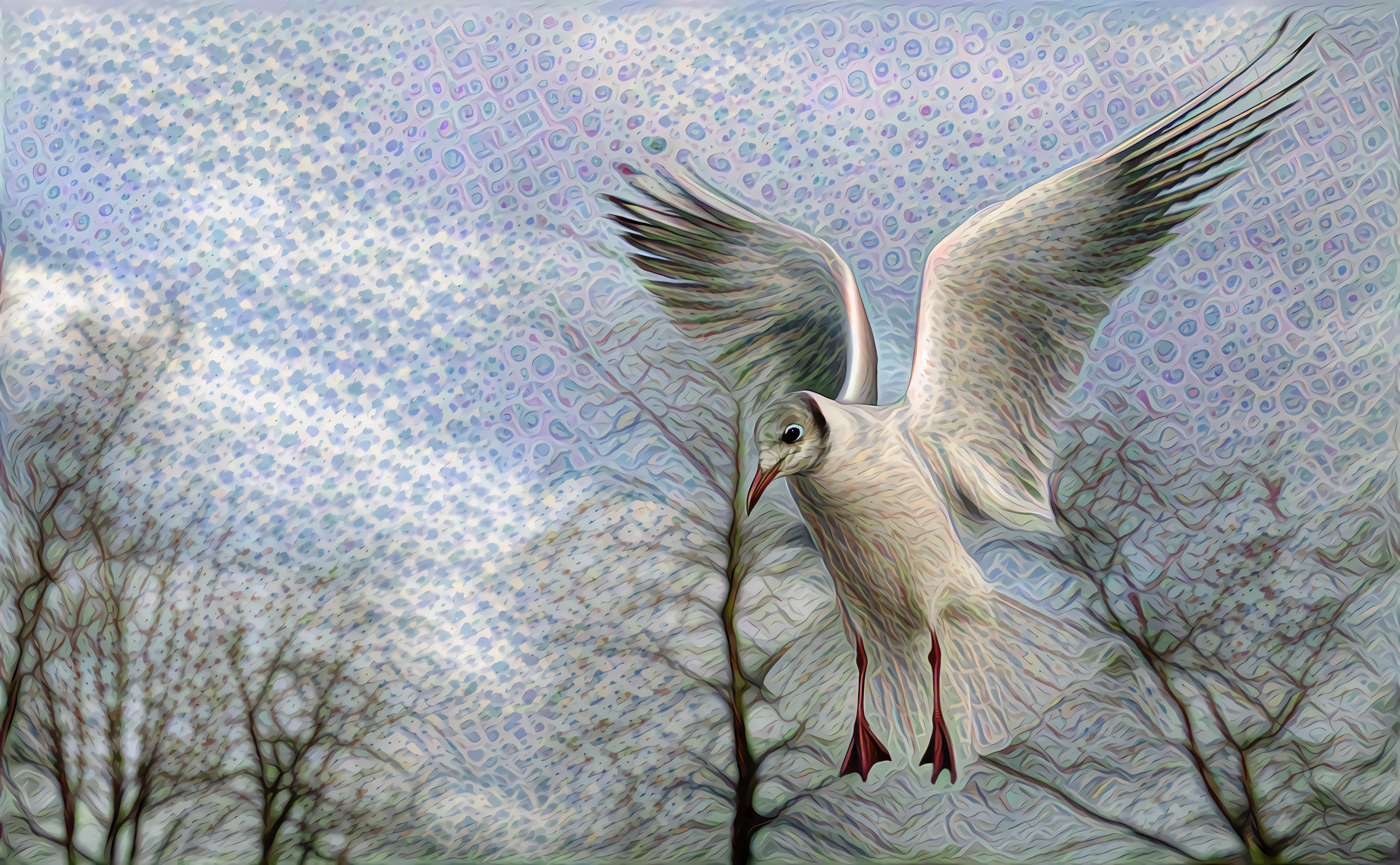 Seagull With Silver Wings