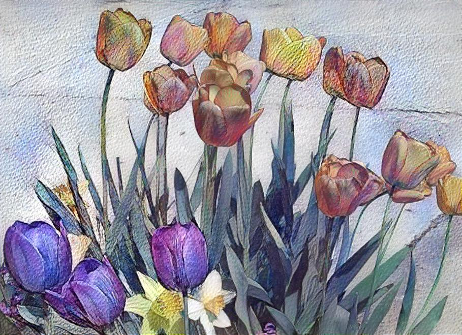 Spring tulips